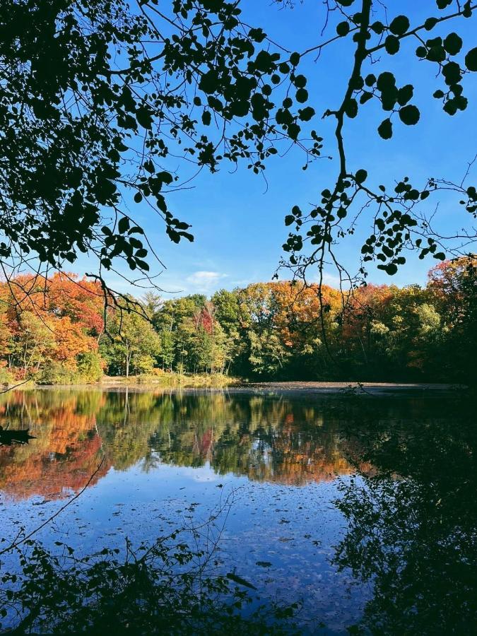 Mimi'S Natuurhuisje ลานาเคน ภายนอก รูปภาพ