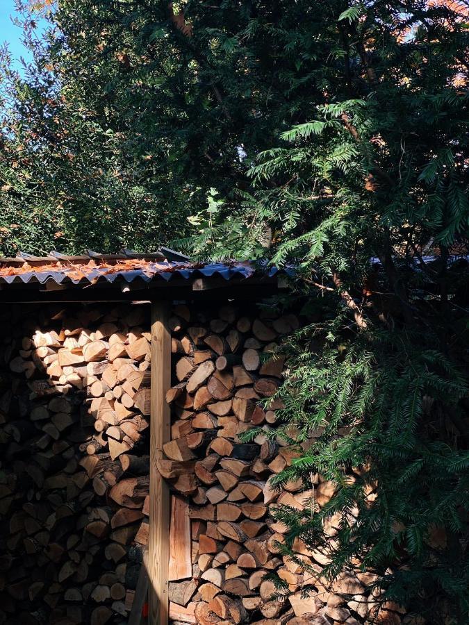Mimi'S Natuurhuisje ลานาเคน ภายนอก รูปภาพ